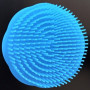 Brosse plastique ronde à cheveux démêlante couleur bleu
