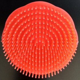 Brosse plastique ronde à cheveux démêlante couleur rouge